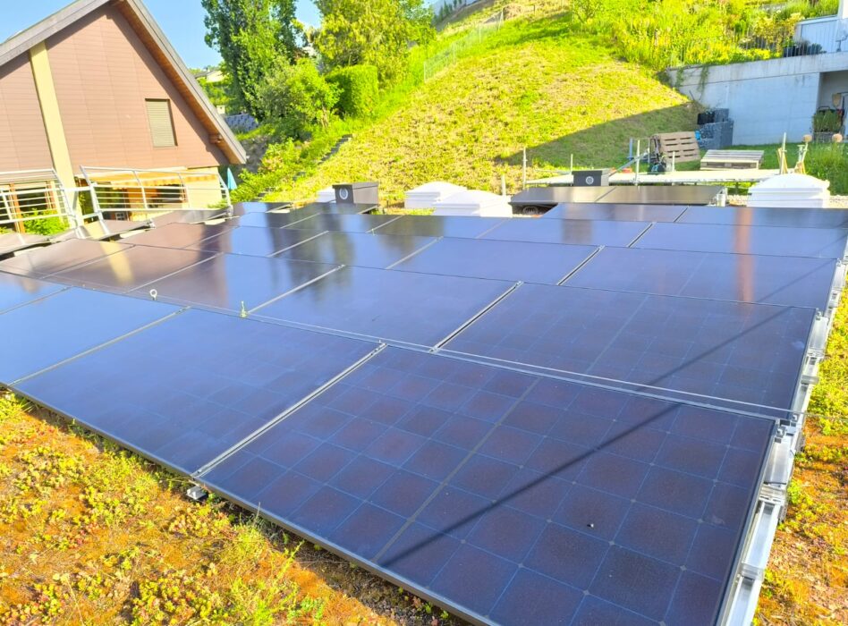 9b56030f-5064-4517-8c06-bcb04323abeb (1)